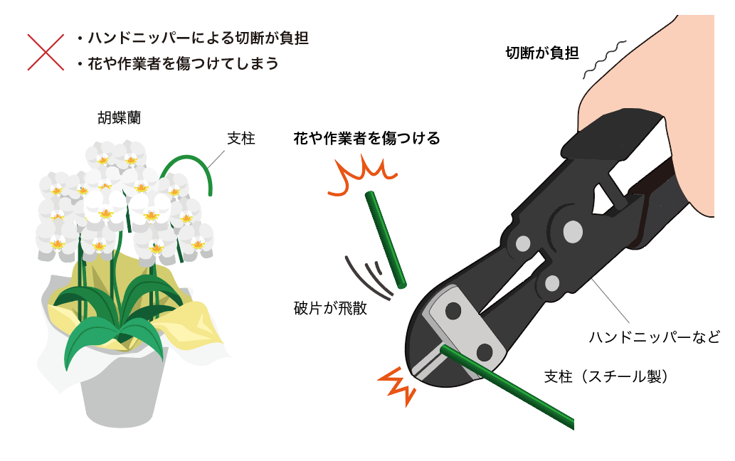 胡蝶蘭の支柱カットの課題