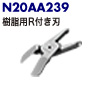 N20AA239